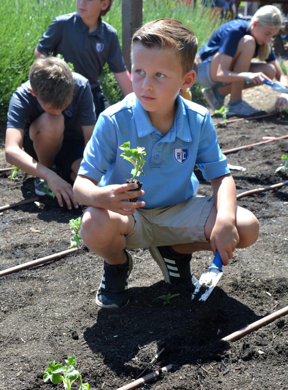 Brayden Lub aprende a plantar una plántula de sandía en Garden Joy en Ripon, California, el 15 de mayo de 2024. Fue anfitrión de una excursión de Ripon Christian School.