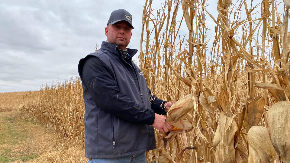 Kelly Garrett of Garrett Land & Cattle, checking corn in Arion, Iowa, in 2020. - Courtesy XtremeAg.farm