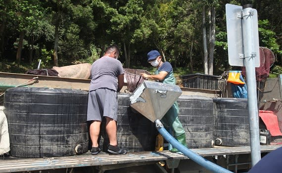 大觀發電廠更呼籲，漁民在捕魚時，一旦捕獲小魚苗，希望能夠將其放回潭中，讓牠們繼續成長，如此才能兼顧環保與經濟效益。（圖／記者石振賢攝.2023.09.19.）