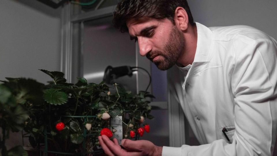 Dr Showkat Ganie prepares to 3D model a plant