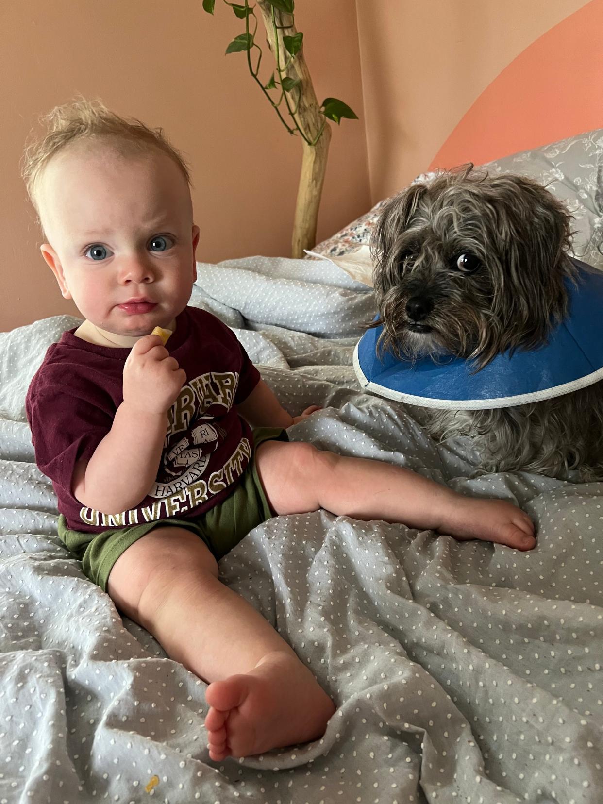 Tess’ son Henry, 1, comforts Alfie with some snacks after his first surgery in 2023.