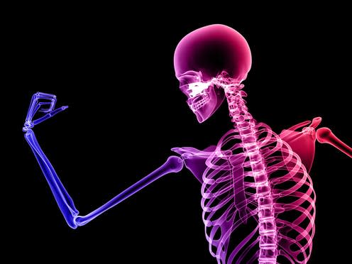 <span class="caption">Modern life is weakening your bones.</span> <span class="attribution"><span class="source">shutterstock</span></span>