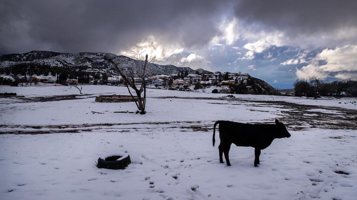 Rare Blizzard Warning in Southern California