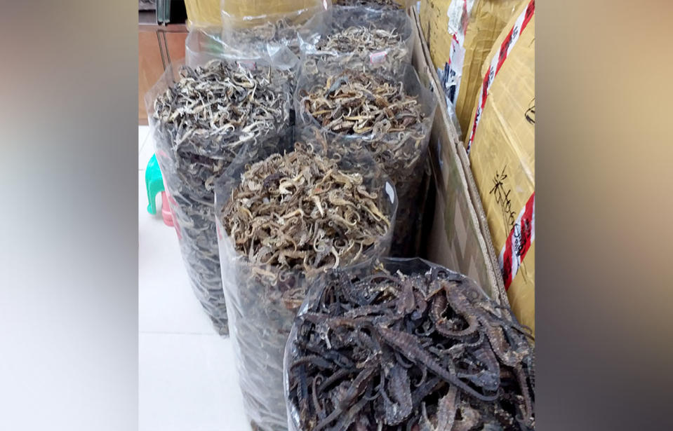 Thousands of the rare animals were offered for sale at a wholesale medicine market in Guangzhou. Source: CEN