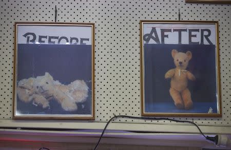 Two photographs hanging on the wall of Sydney's Doll Hospital show the before and after pictures of a teddy bear that had been brought in for repair, June 17, 2014. REUTERS/Jason Reed