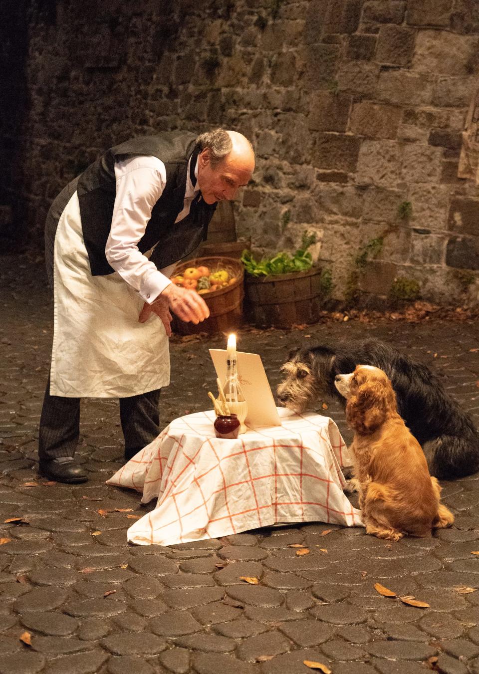 Tony (F. Murray Abraham), Tramp (voiced by Justin Theroux) and Lady (voiced by Tessa Thompson) in Disney’s live-action "Lady and the Tramp," streaming on Disney+.