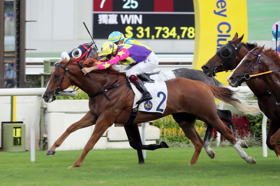 Superb Boy was a winner at Sha Tin earlier in the season