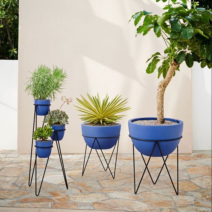 7) Iris Planter & Chevron Stand