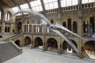 <p>Looking for a tour that the kids will enjoy too? This is it. Introduce them to the giant Dippy the dino in the entrance hall, as well as specimens in jars, butterflies, the dodo and more as you browse the corridors from your sofa.</p><p><a class="link " href="https://artsandculture.google.com/streetview/the-natural-history-museum-hintze-hall/yQHjHCmSOMKyhQ" rel="nofollow noopener" target="_blank" data-ylk="slk:Take a virtual tour;elm:context_link;itc:0;sec:content-canvas">Take a virtual tour</a></p>