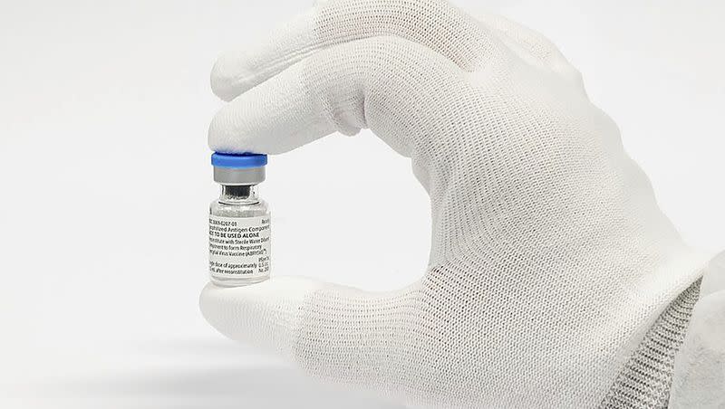 This photo provided by Pfizer in August 2023 shows the RSV vaccine Abrysvo. On Friday, Sept. 22, 2023, U.S. health officials recommended RSV vaccinations for moms-to-be as a second option to protect newborns.
