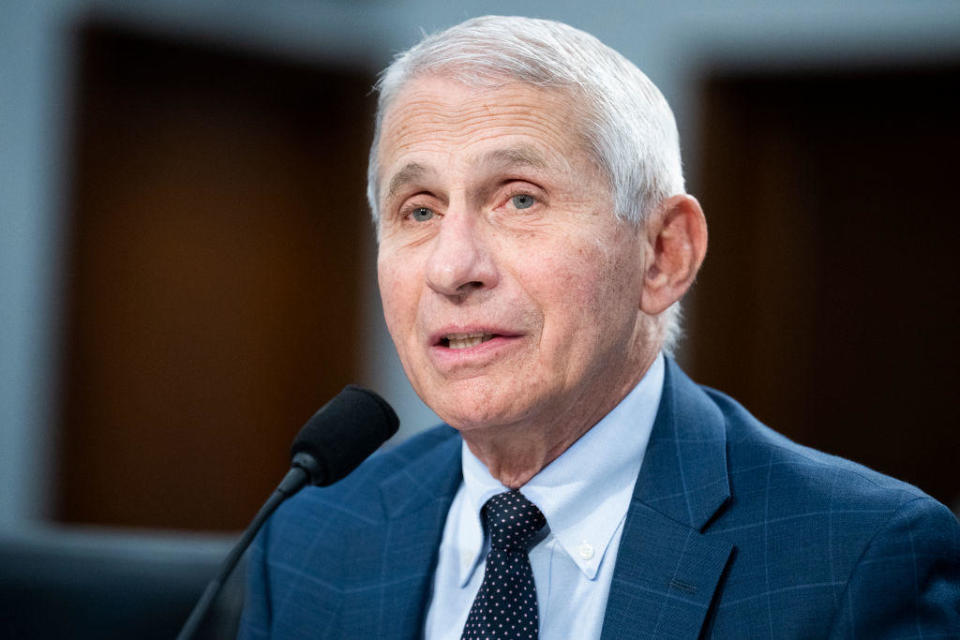 Dr. Anthony S. Fauci, director of the National Institute of Allergy and Infectious Diseases, testifies at a House budget hearing on Capitol Hill, May 11, 2022.  / Credit: Tom Williams/CQ-Roll Call, Inc via Getty Images