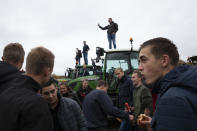 Protesting farmers gather in The Hague, Netherlands, Wednesday, Oct. 16, 2019. Thousands of Dutch farmers protest over the Netherlands efforts to drastically reduce emissions of greenhouse gases. Among the farmers' demands are that the government does not further reduce the number of animals they can keep. (AP Photo/Peter Dejong)