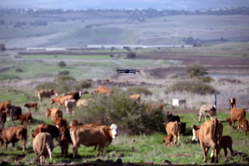 Droves by drone: Israeli cow-herders turn to flying tech to boost efficiency