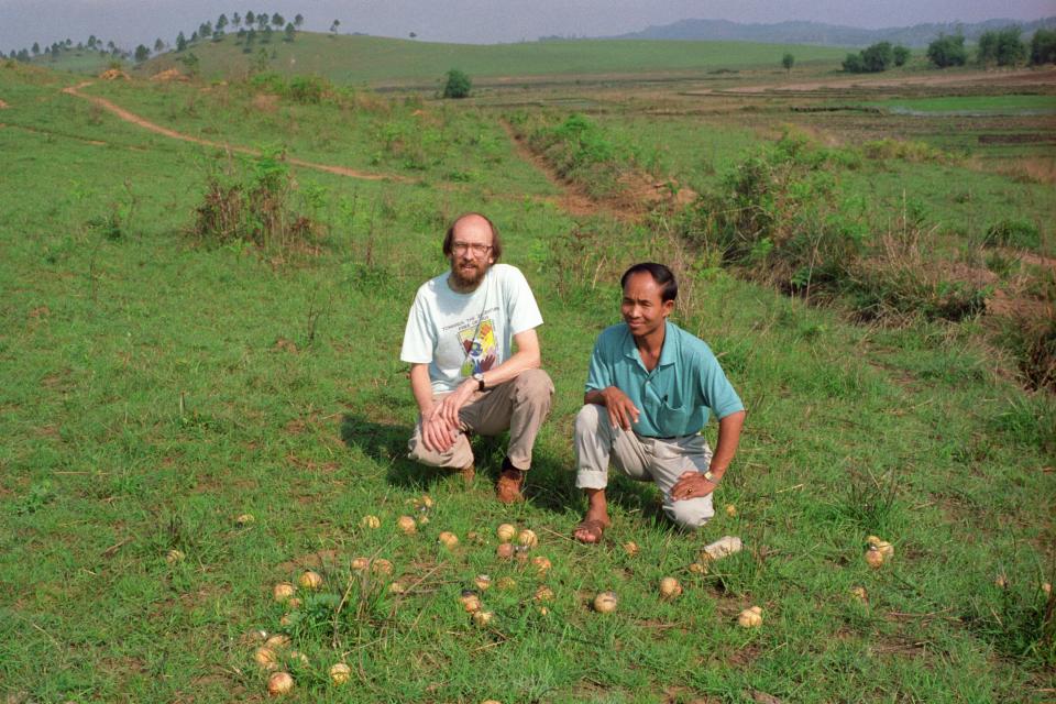 In northeastern Laos in 1994, Mennonite Central Committee worker Titus Peachey and Bua La, project director of the National Unexploded Ordnance Project, survey unexploded cluster bombs in a pasture.