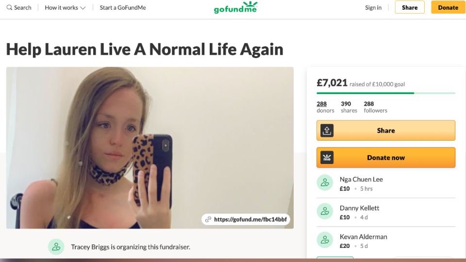 蘿倫在國外募款網站gofundme上成立募款頁面，希望網友慷慨解囊。（圖／翻攝自gofundmme官網）