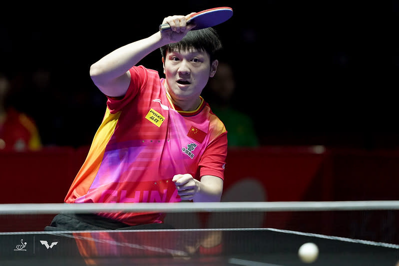 樊振東扮演中國定海神針。（取自World Table Tennis，2/22比賽照）