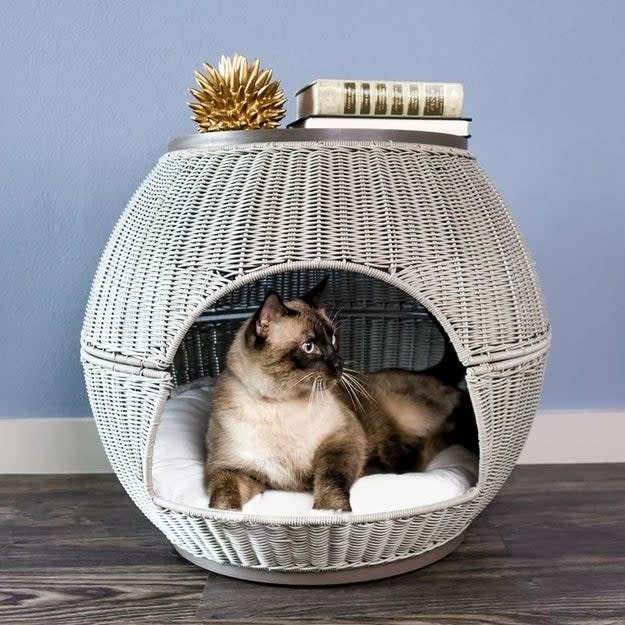 Siamese cat lying in a cozy, wicker dome-shaped pet bed in smoke with a white cushion, topped with a gold decorative piece and a book