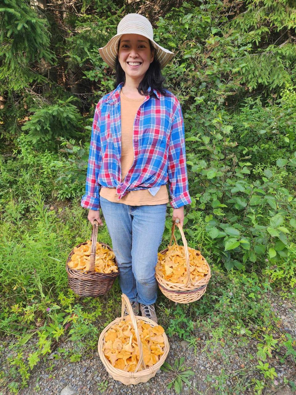 Foragers across the province are noticing a rise in mushroom, especially chanterelle, growth this season. 