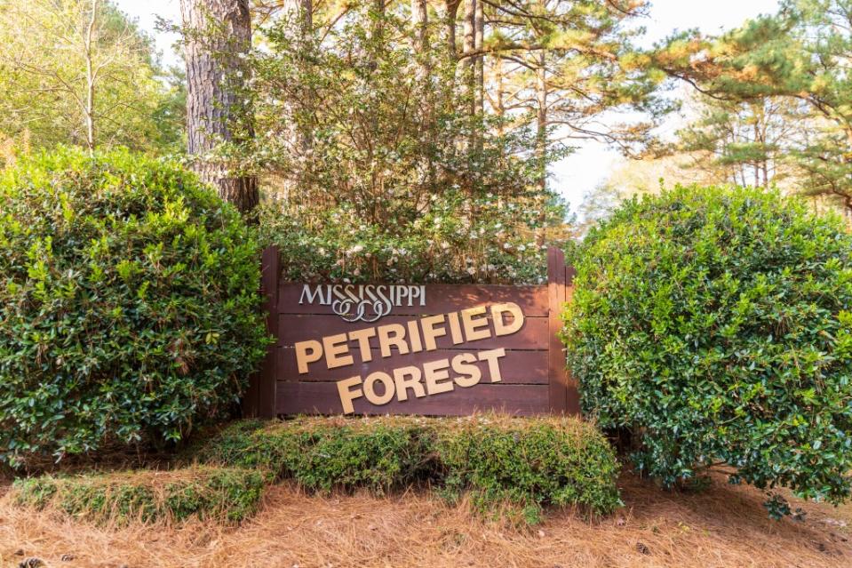 Mississippi Petrified Forest via Getty Images