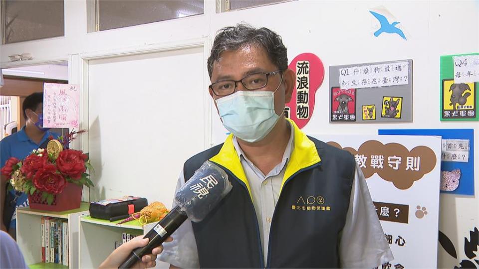 幫浪浪找個家！北市里辦設犬貓認養站　盼降低動物之家收容量