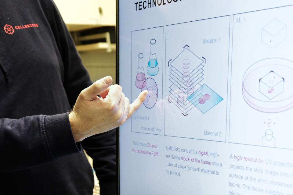 Bindegewebe, Organe, Haut - theoretisch kann Cellbricks in der Zukunft all das bauen. - Copyright: Lisa Kempke