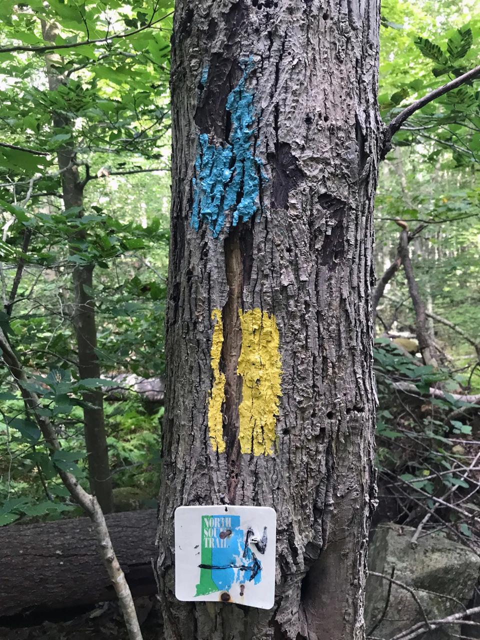 Square shields with an outline of Rhode Island mark the North South Trail, which is also blazed with blue paint.