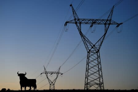 FILE PHOTO: Power lines connecting pylons of high-tension electricity and a billboard-sized figure of a bull, known as the "Osborne bull", are seen at sunset in El Berron