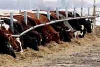 Derrydale Farm in Belle Plaine, Minnesota as Biden campaign pushes for rural voters