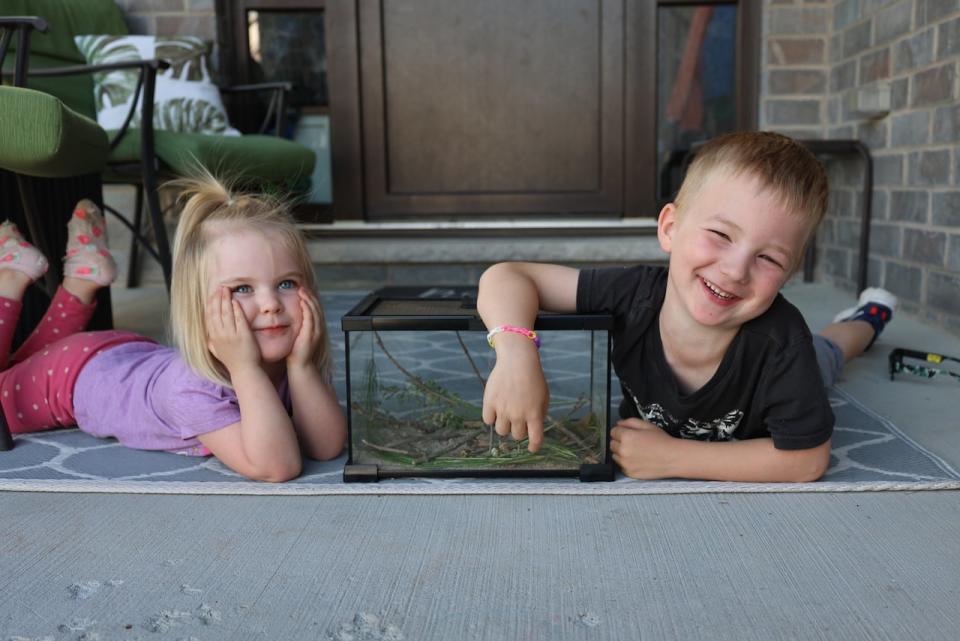 3-year-old Hailey Seed and 5-year-old Jack Seed are watching after the pink grasshopper they named "Bubbles" for its resemblance to bubblegum. 