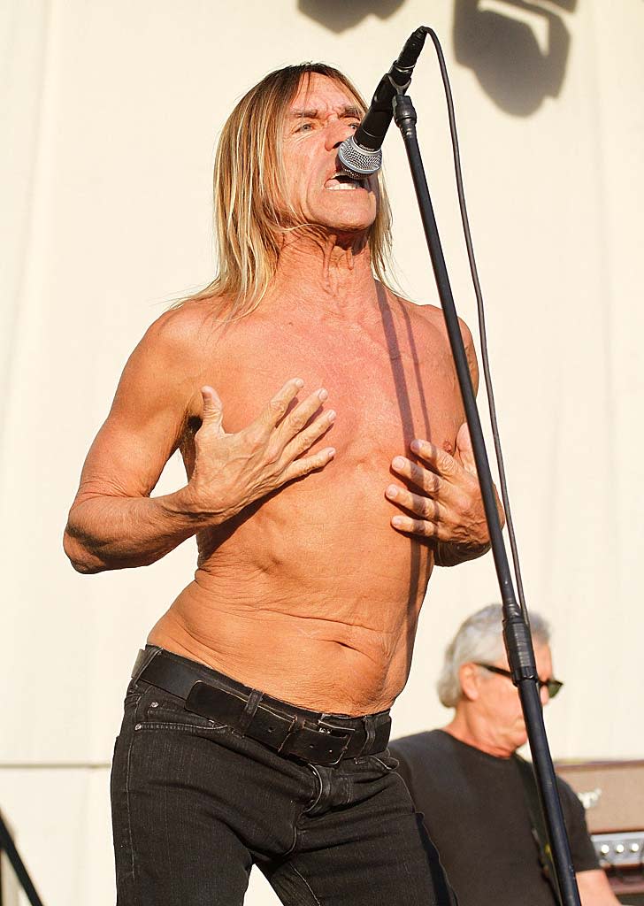 Iggy Pop Big Day Out Cncrt