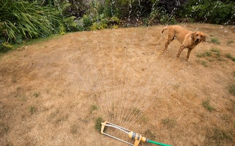 Hosepipe bans in parts of the country are imminent - Credit: Getty