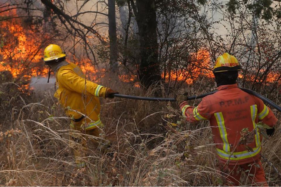 En lo que va del año -de los peores en materia de incendios en la última década- se estima que se afectaron unas 65.000 hectáreas.