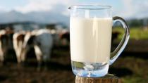 <p>Dairy products such as milk and yogurt (specially from grass fed cows) is good for the eyes. They contain vitamin A as well as the mineral zinc. Vitamin A protects the cornea while zinc helps bring that vitamin to the eyes from the liver. </p>