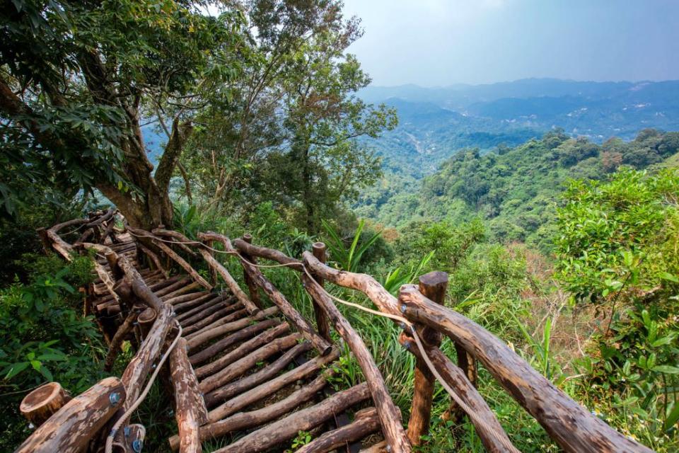 大坑風景區有多條步道任君挑選，原始木階梯拍起來很有荒野冒險感！（Photo Credit: 黃平君@Flickr, License: CC PDM 1.0，圖片來源：https://www.flickr.com/photos/189551395@N06/50173403921）