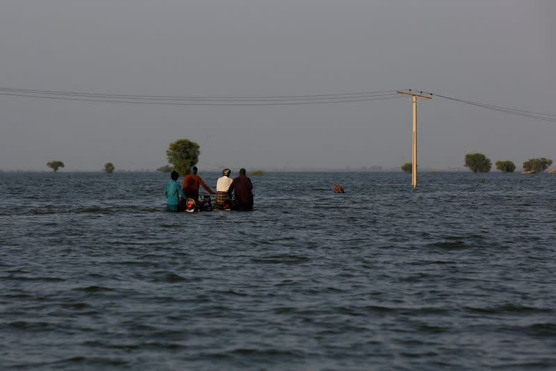 FILE PHOTO: Monsoon season in Bajara village, at the banks of Manchar lake, in Sehwan