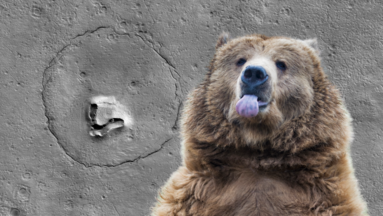 NASA HiRISE image of Mars juxtaposed with stock image of bear.