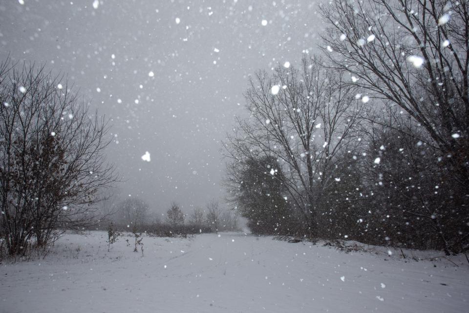 Snow begins to fall as the first major snowstorm of the year rolls in Thursday, Nov. 17, 2022, in Holland. Many areas across the state are expected to see large accumulations of lake-effect snow with a winter storm expected to last into the weekend.