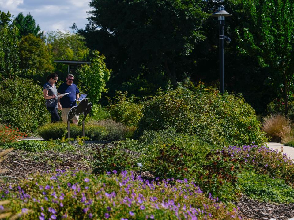 Vicki Thomas, left, and her husband Jerry Thomas study different types of plants as they plan to “flip,” or redesign, their park strip at Conservation Garden Park in West Jordan on Friday, Sept. 15, 2023. | Bethany Baker, The Salt Lake Tribune