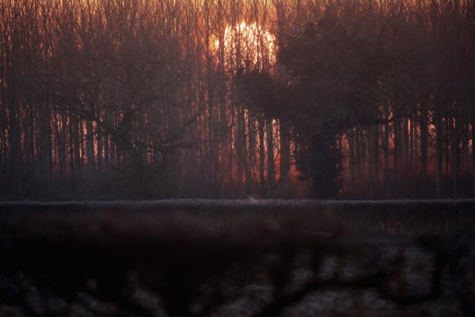 KNUTSFORD, ENGLAND - DECEMBER 11: The sun rises and begins to burn off early morning frost clinging to the countryside on December 11, 2012 in Knutsford, England. Forecasters are warning that the UK could experience the coldest day of the year so far tomorrow, as temperatures could drop as low as -14C, bringing widespread ice, harsh frosts and freezing fog. Travel disruption is expected with warnings for heavy snow. (Photo by Christopher Furlong/Getty Images)