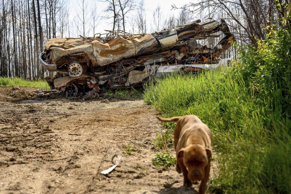 Scorched cars rests in the yard of a home destroyed by wildfire in the East Prairie Metis Settlement, Alberta, on Wednesday, July 4, 2023. The settlement, whose residents trace their ancestry to European and Indigenous people, lost at leat 14 homes during the May wildfire, according to Chair Raymond Supernault. (AP Photo/Noah Berger)