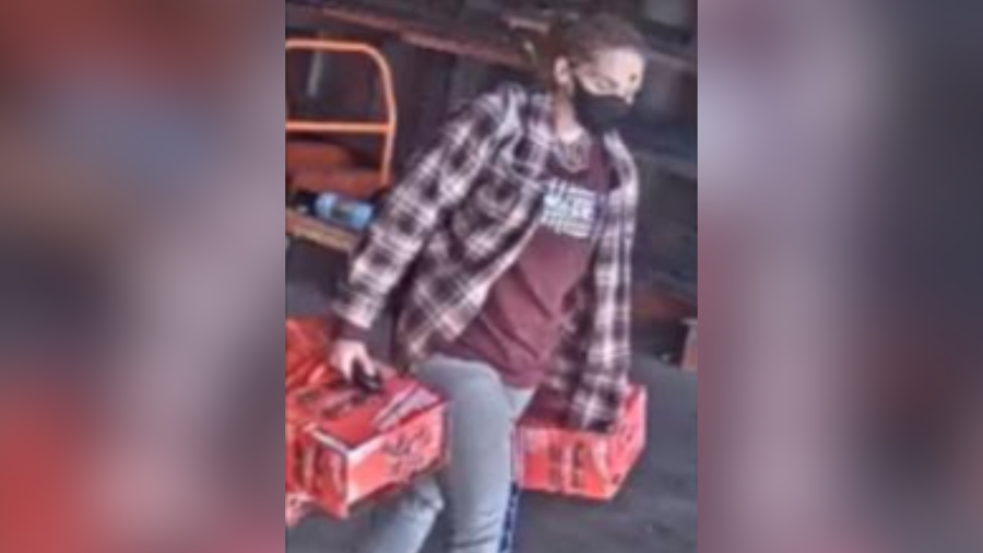 Authorities are searching for this woman in connection with a series of Home Depart thefts.