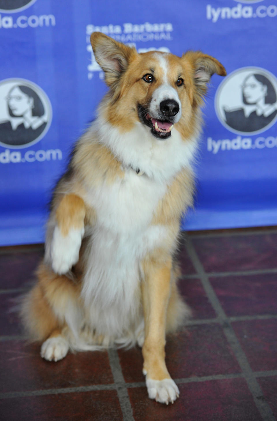 Santa Barbara Film Festival Opening Night Premiere Of Sony Pictures Classics' "Darling Companion" - Arrivals