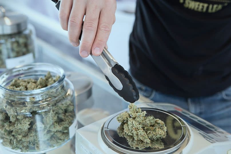 Un trabajador de un dispensario pesa el cannabis a la venta