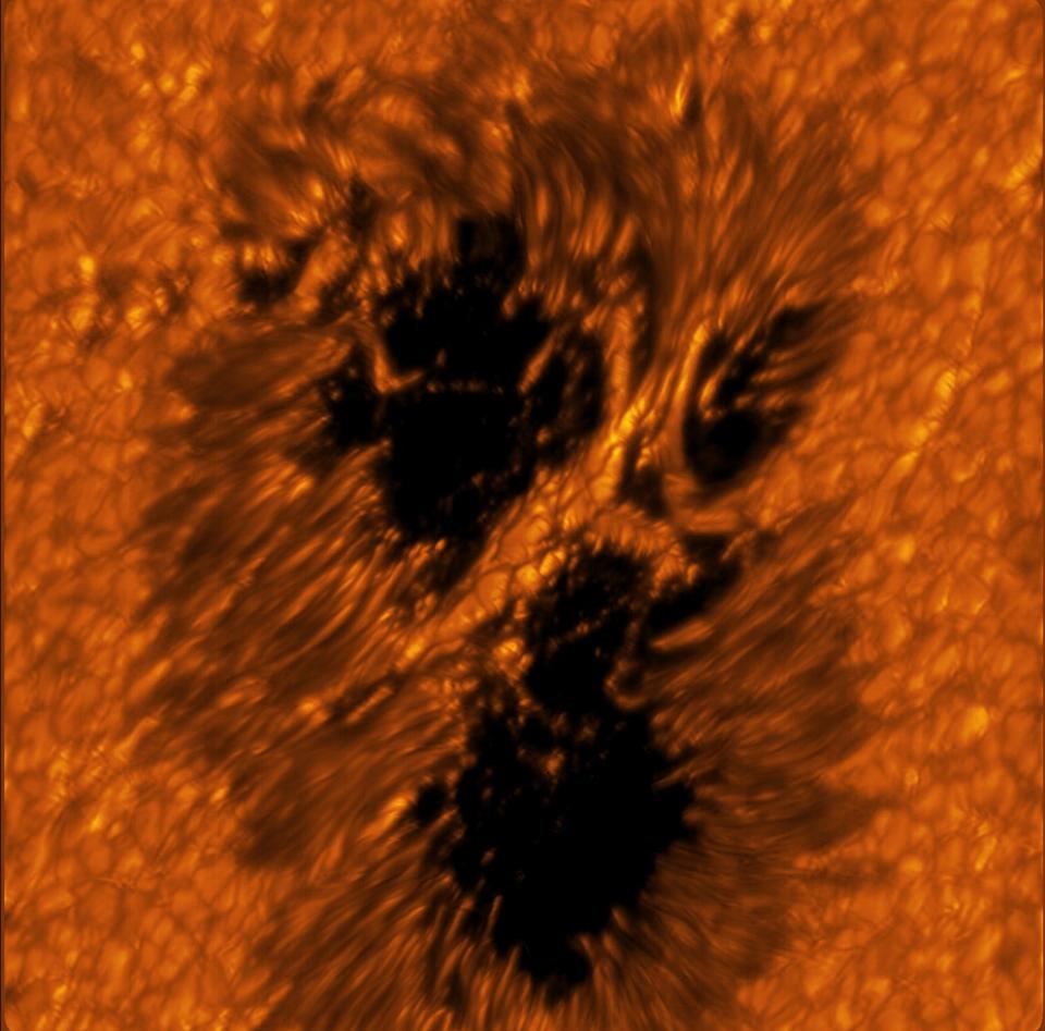 giant sunspot on a dark orange segment of the sun's surface with a tendril border and a "light bridge" of plasma cells cutting across the middle dividing the spot into three sections