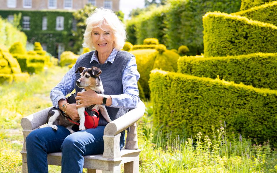 The Duchess at Highgrove with her dog Beth - Harry Page/ITV