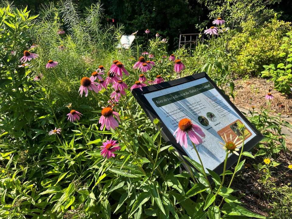 The gardens, especially the native plant garden, feature educational signs to help you learn about plants native to the area, and the Botanical Gardens and Cooperative Extension also hosts a Native Plant Festival in September.