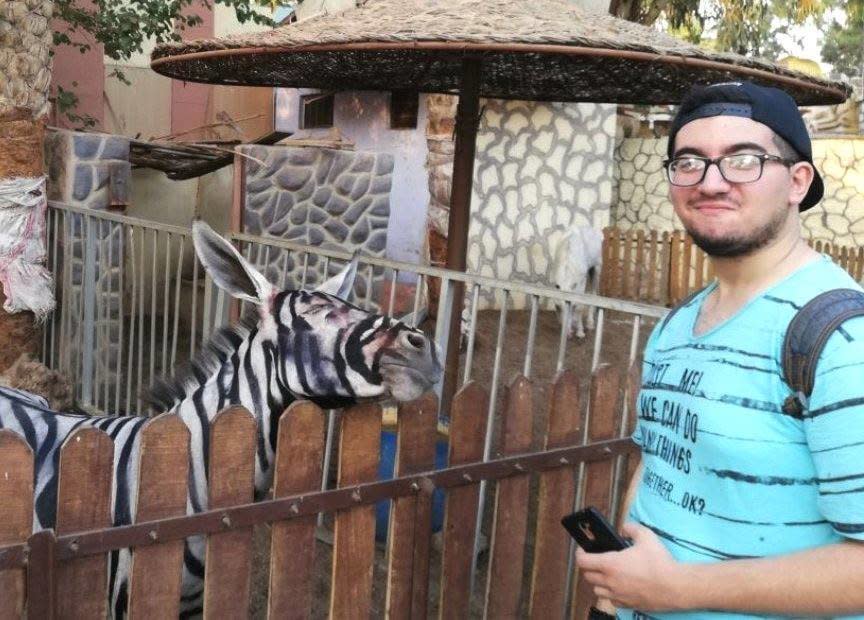 Observers have noticed that this animal's snout is gray, rather than black, and its ears seem larger than a typical zebra's ears. (Photo: Facebook/Mahmoud Sarhan)