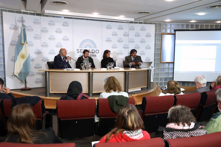 La semana pasada se realizó una jornada de reflexión y debate en el Senado la Nación en la que expusieron familiares y especialistas a 11 años de la Ley de Salud Mental y Adicciones