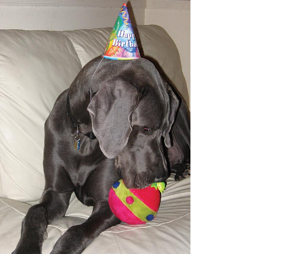 George rocks out in a party hat.