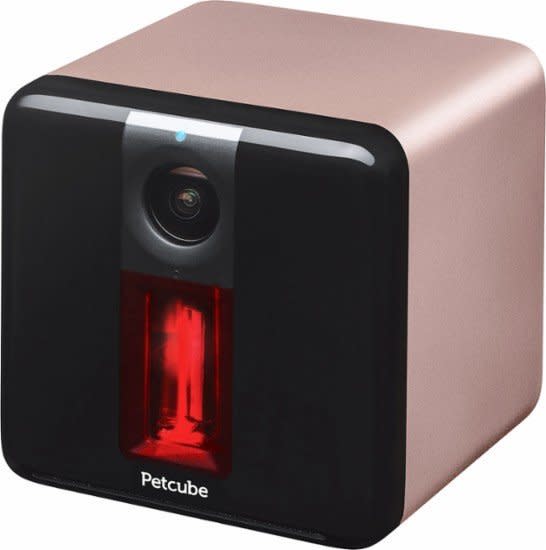 Petcube 1080p Wi-Fi Camera, $179.99, <a href="http://www.bestbuy.com/site/petcube-play-indoor-1080p-wi-fi-camera-rose-gold/5613309.p?skuId=5613309" target="_blank">Best Buy</a>
